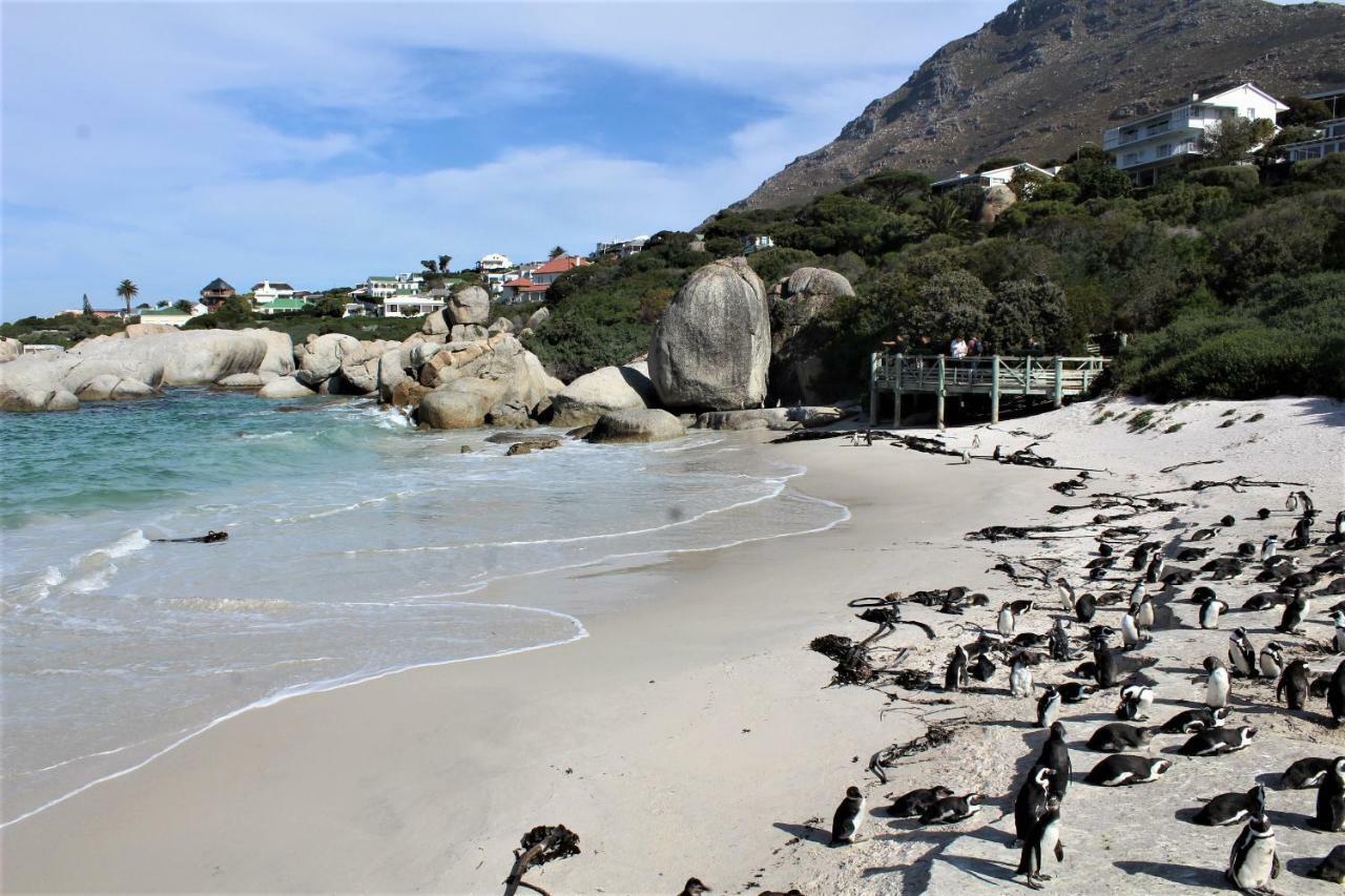 South Peninsula Beach Apartment ケープタウン エクステリア 写真